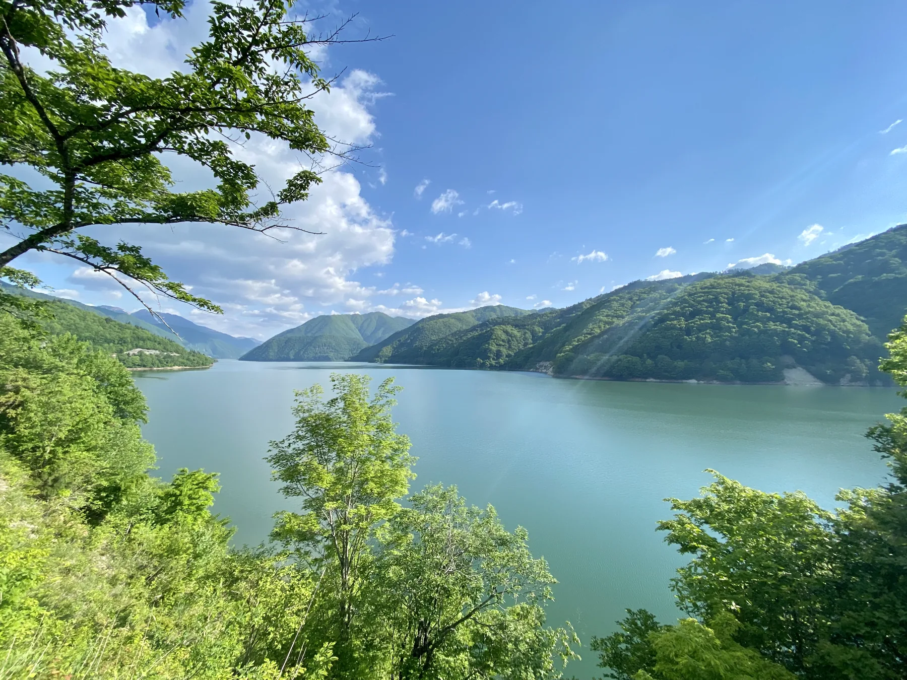 Lago verde cercado por montanhas e árvores