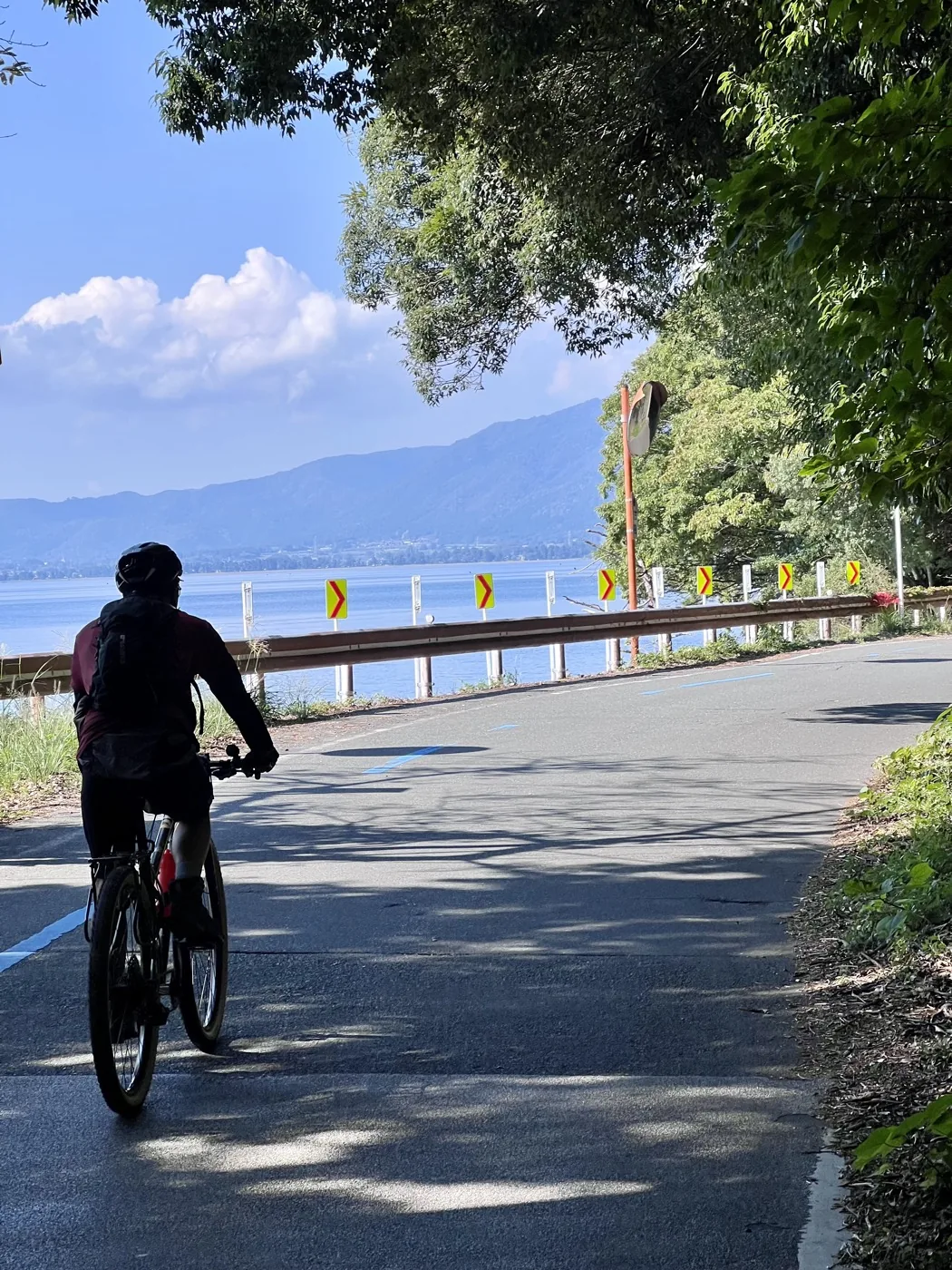 Ciclista seguindo por uma estrada arborizada durante a viagem